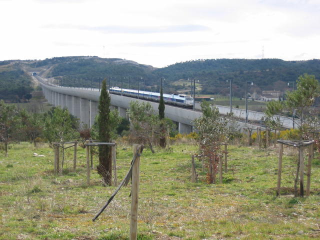 TGV Nice - Metz du 18/01/2004 sur le viaduc de Verngues (Bouches du Rhne)