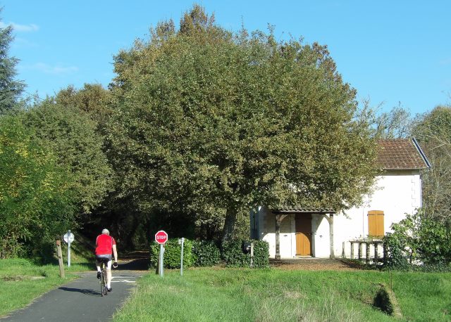 Dordogne - Calviac en Périgord - passage à niveau