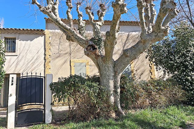 Bouches du Rhône - Lambesc - passage à niveau